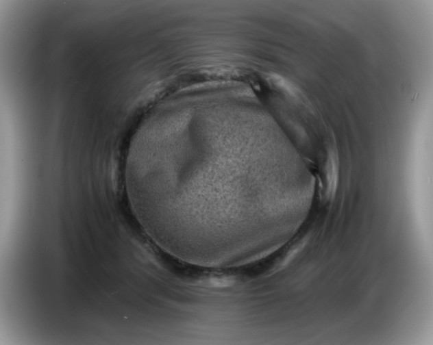 X0000086770416200704271754