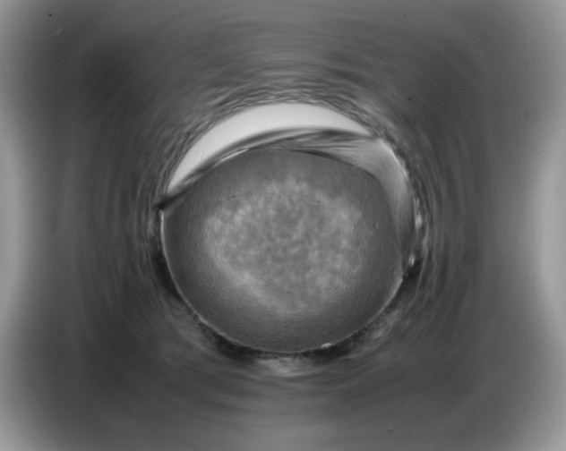 X0000086770417200704271754