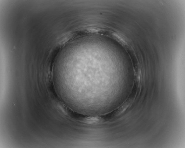 X0000086770418200704271754