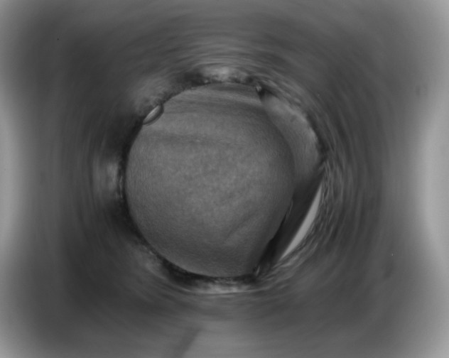X0000086770420200704271754