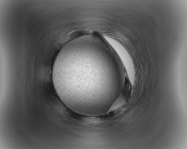 X0000086770421200704271754