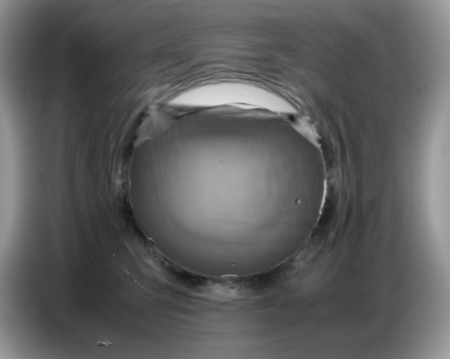 X0000086770423200704271754