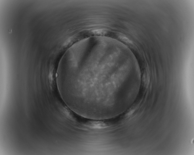 X0000086770424200704271754