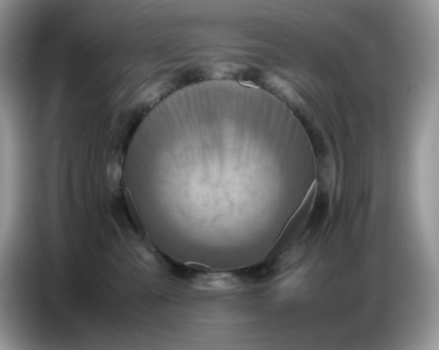 X0000086770427200704271754