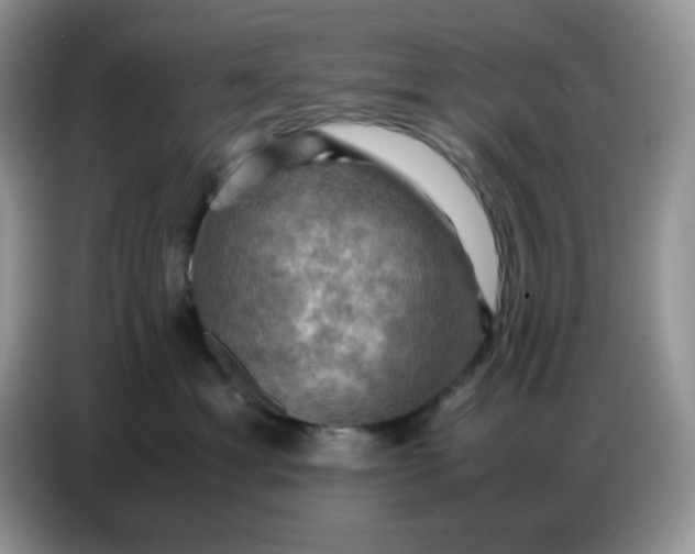 X0000086770429200704271754