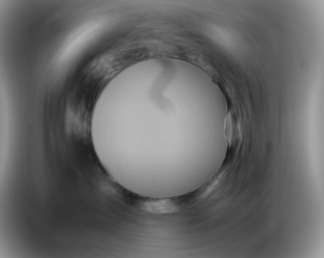 X0000086770431200704271754