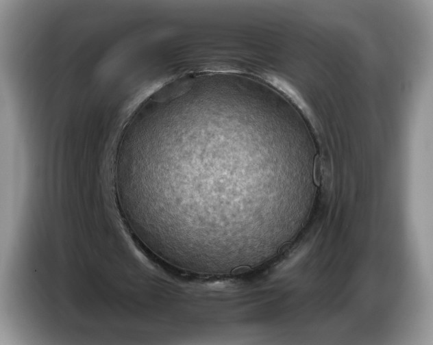 X0000086770433200704271753