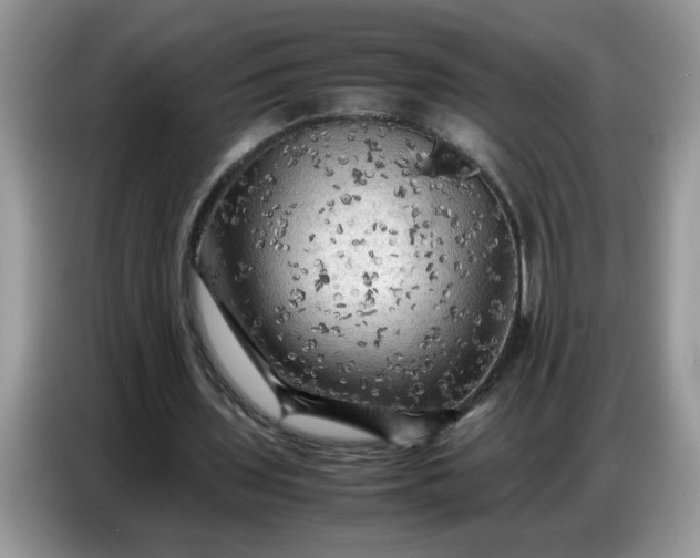 X0000086770435200704271753