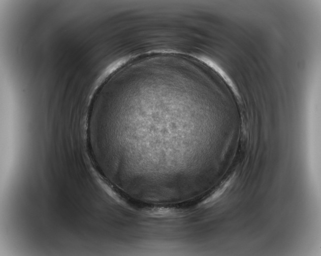 X0000086770437200704271753
