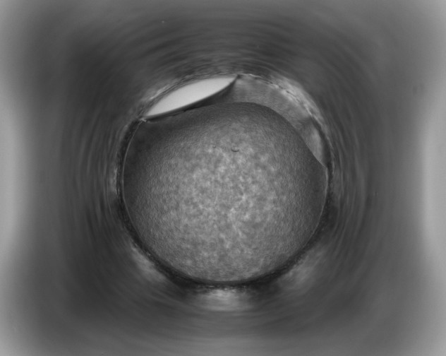 X0000086770441200704271753