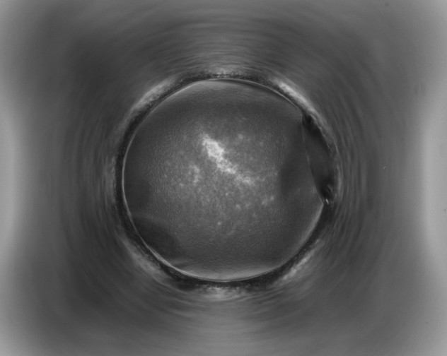X0000086770442200704271753