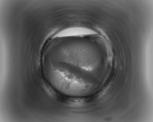 X0000086770443200704271753