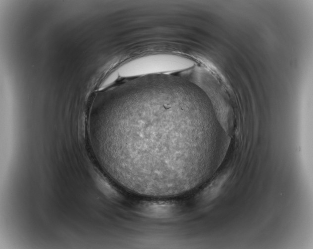 X0000086770445200704271753