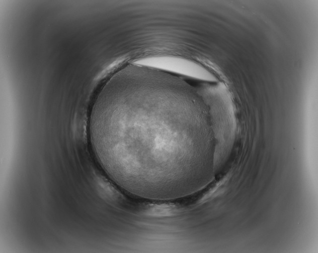 X0000086770446200704271753