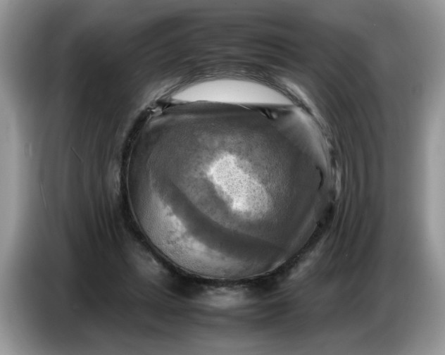 X0000086770447200704271753