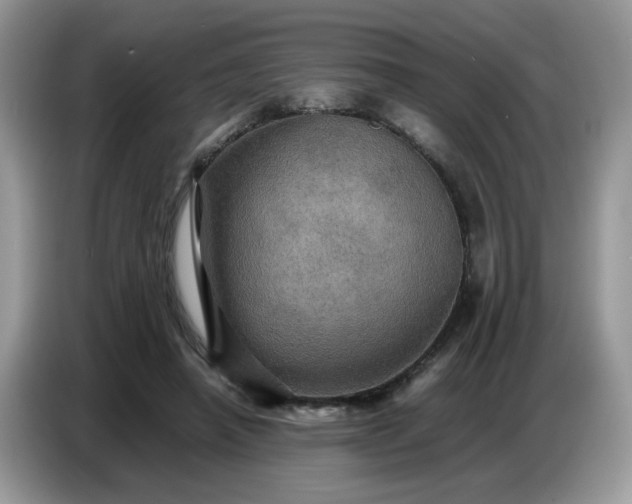 X0000086770450200704271753