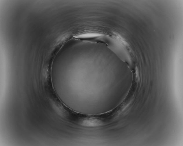 X0000086770451200704271753
