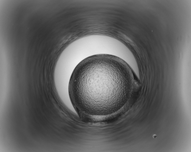 X0000086770452200704271753