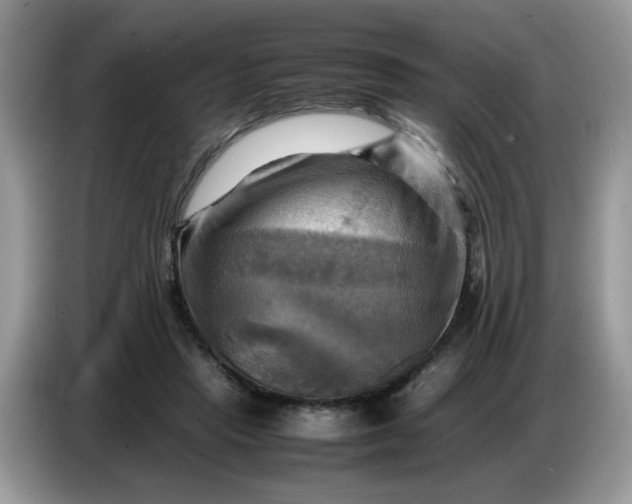 X0000086770453200704271753