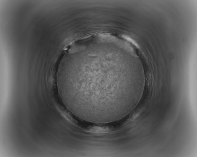 X0000086770455200704271753