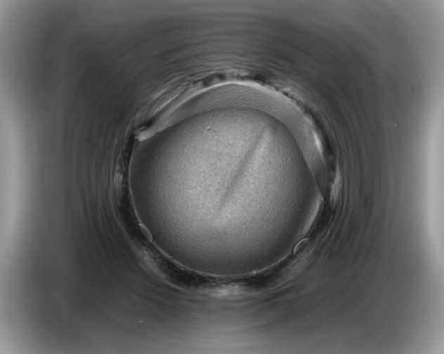 X0000086770456200704271753