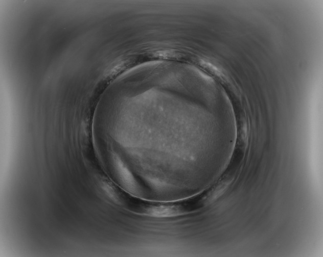 X0000086770461200704271753
