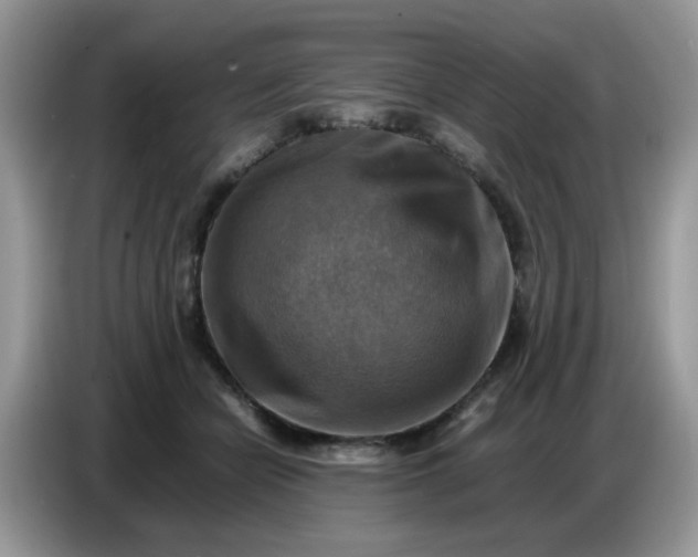 X0000086770462200704271753