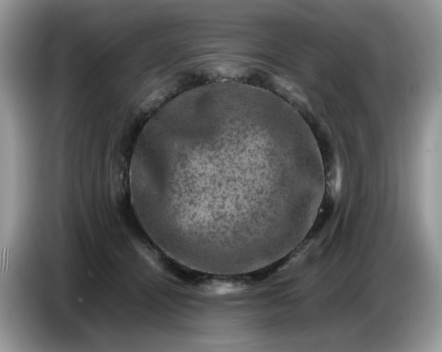 X0000086770464200704271753