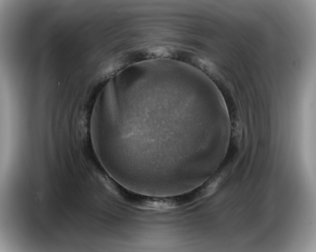 X0000086770466200704271753