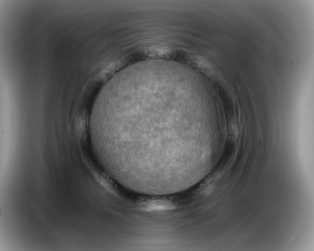 X0000086770468200704271753