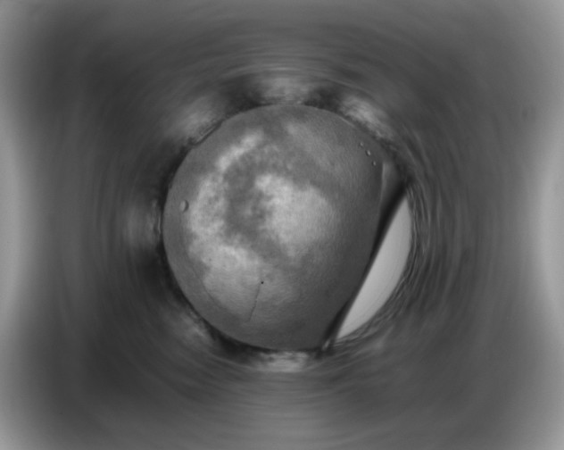 X0000086770474200704271754