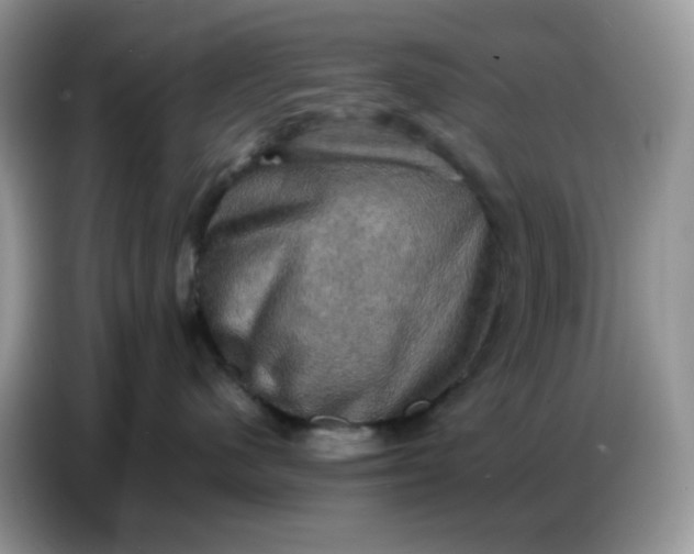 X0000086770480200704271754