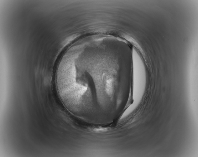 X0000086770483200704271753