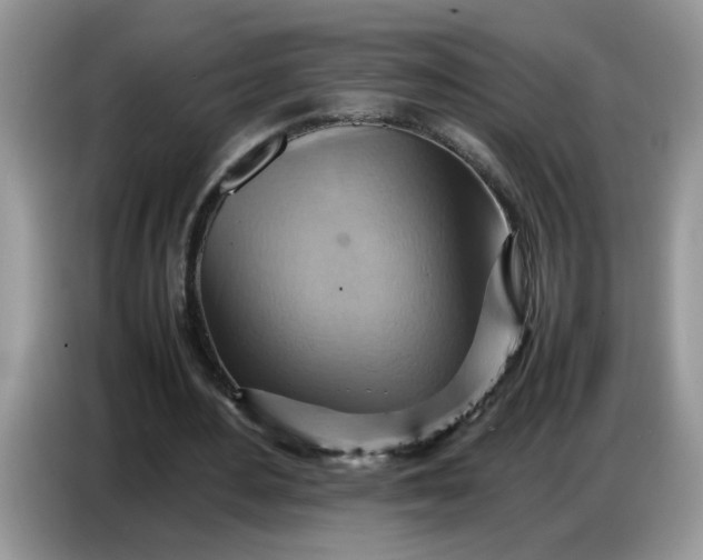 X0000086770484200704271753