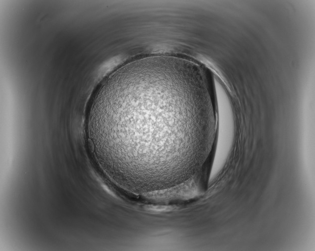 X0000086770485200704271753