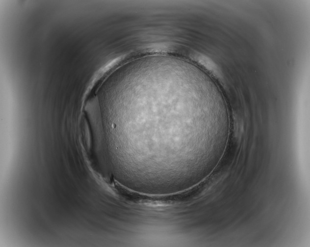 X0000086770486200704271753
