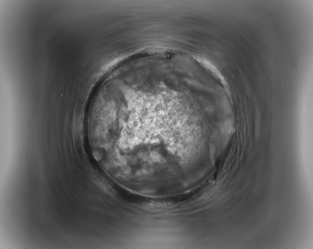 X0000086770487200704271753