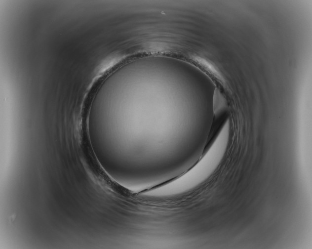 X0000086770488200704271753