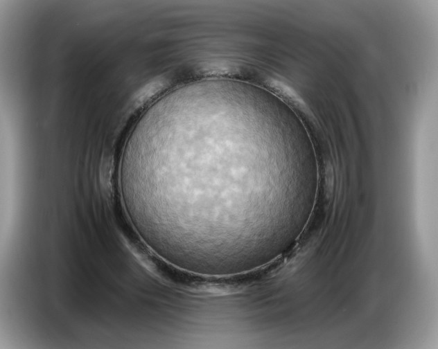 X0000086770490200704271753