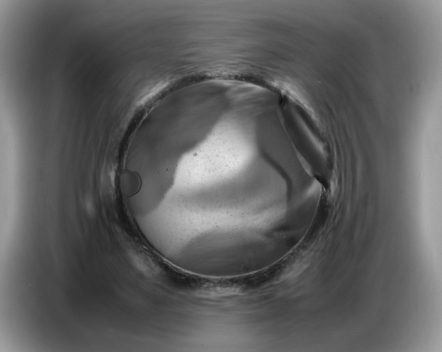 X0000086770491200704271753