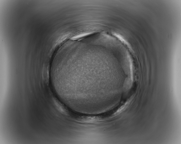 X0000086770493200704271753