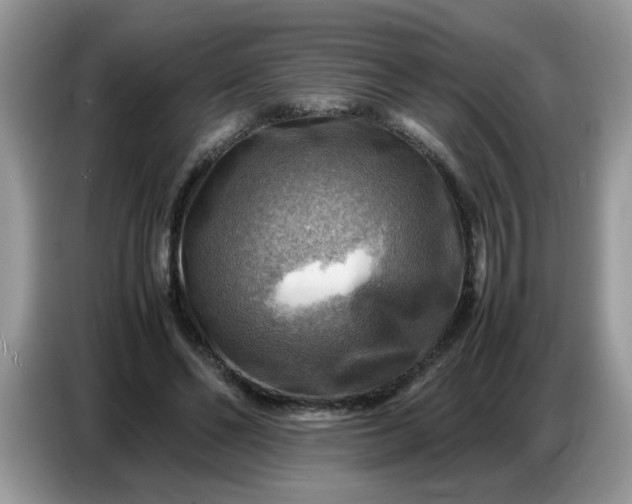 X0000086770494200704271753