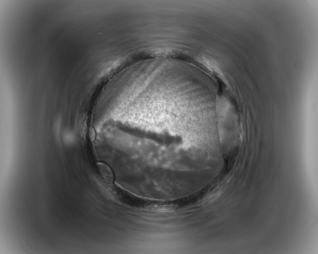X0000086770495200704271753