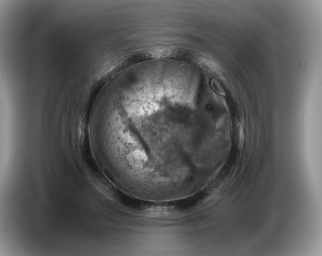 X0000086770499200704271753