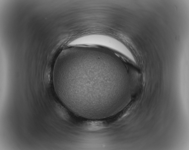 X0000086770501200704271753