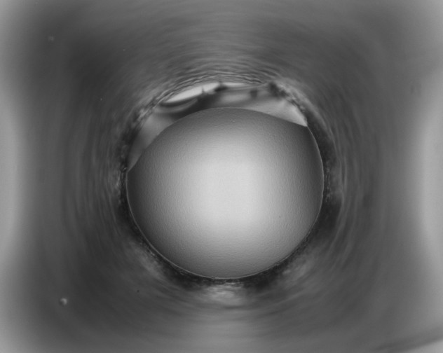 X0000086770505200704271753