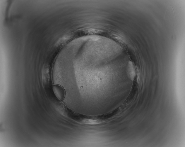 X0000086770506200704271753