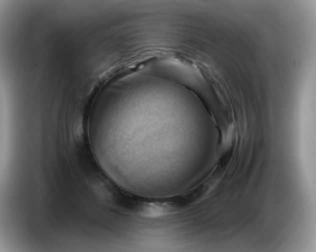 X0000086770508200704271753