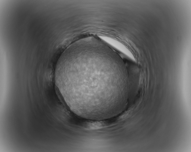 X0000086770513200704271753