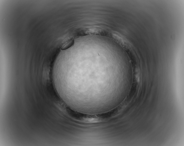 X0000086770514200704271753